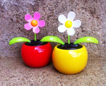 4 Wackelblumen Solar Blume bunt